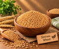 Shriram Wheat | श्रीराम गहू