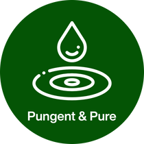 USP badge