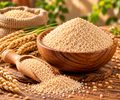 Regular Wheat Daliya | गव्हाचा दलिया